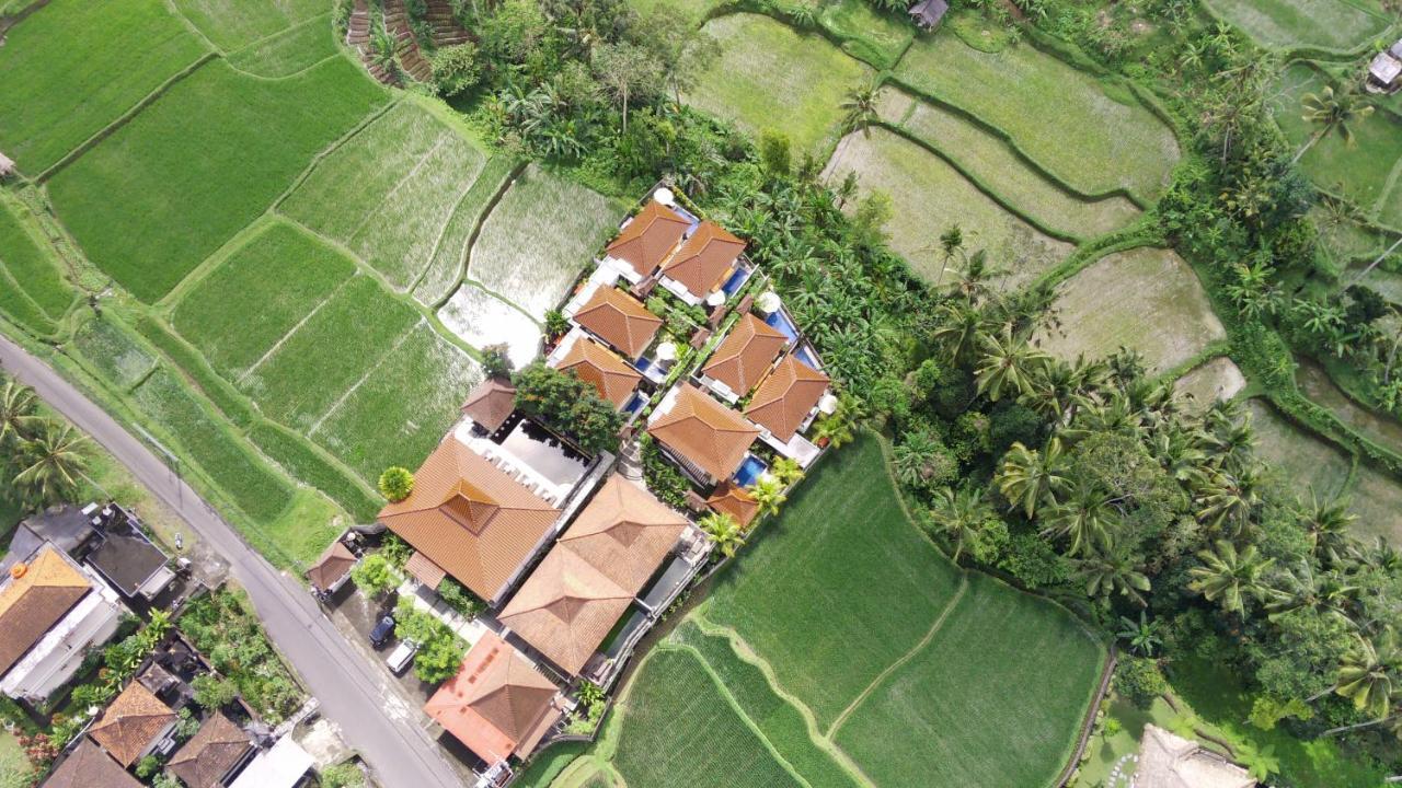 Danakha Villa Ubud Тегаллаланг Экстерьер фото