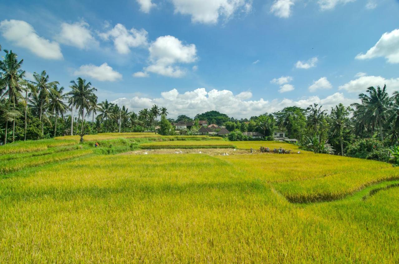 Danakha Villa Ubud Тегаллаланг Экстерьер фото